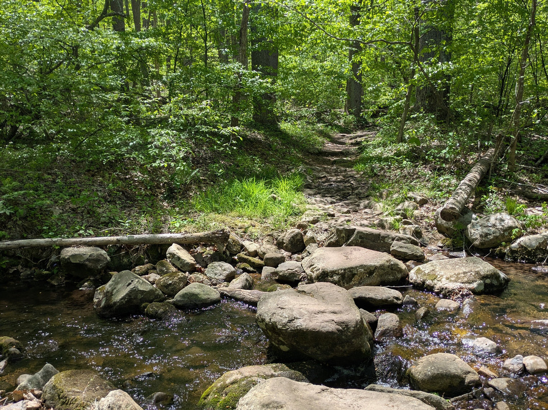 Hopkins Ordinary Bed & Breakfast主图