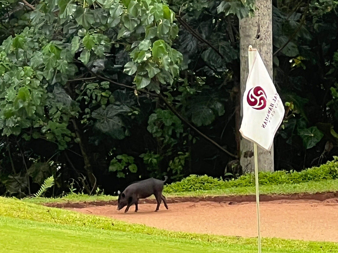 皇家夏威夷乡村俱乐部-科纳必去景点