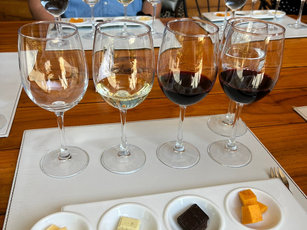 Emiliana Organic Vineyards景点图片