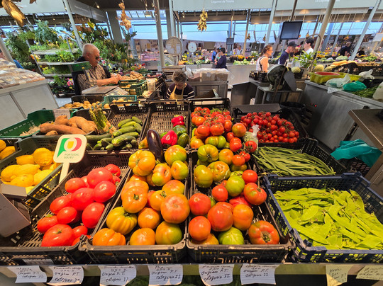 Pictury Photo Tours-波尔图必去景点