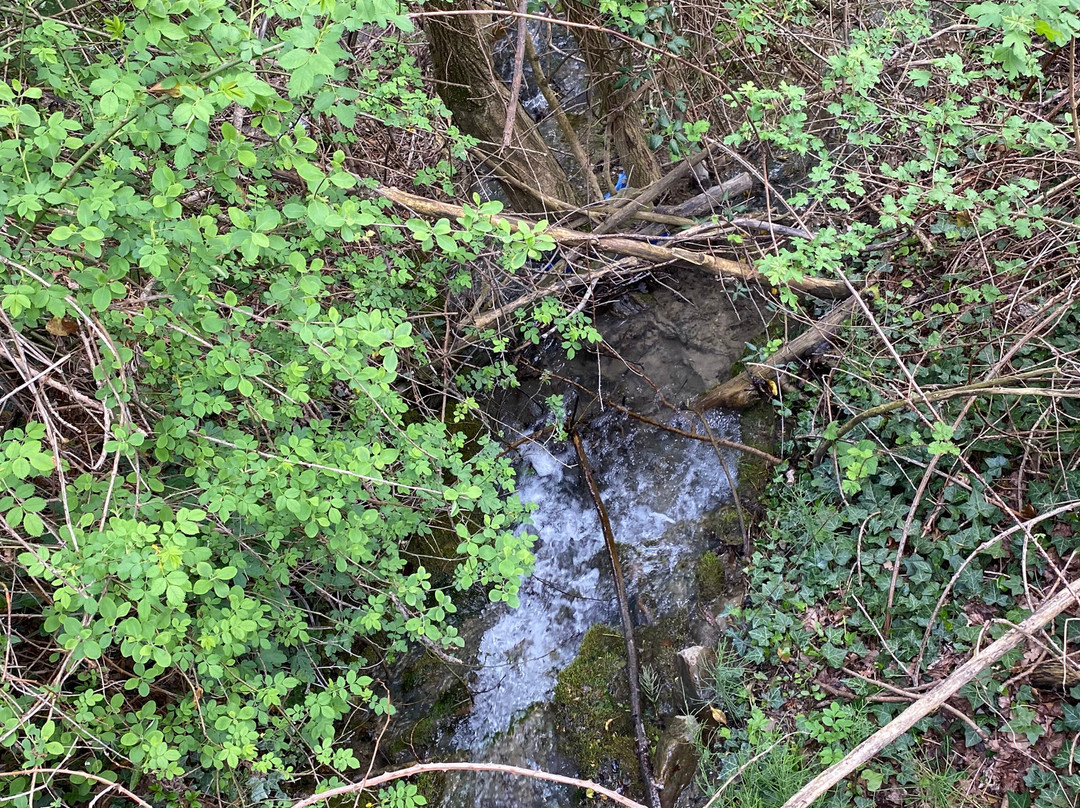 Casa Rural Tomaso主图