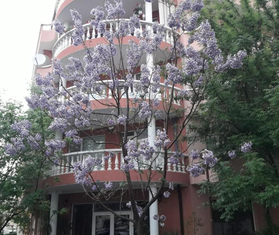 Art Guest House Orchidea