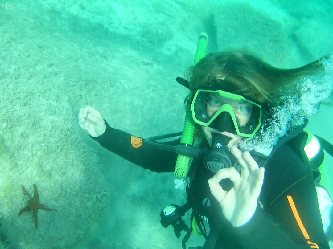 Blu Infinito Diving Center-San Teodoro必去景点