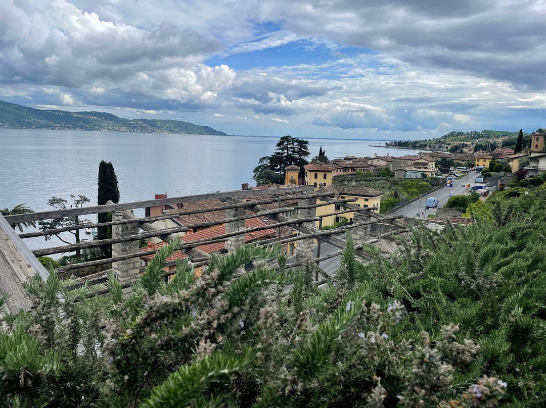 Limonaia La Malora-加尔尼亚诺必去景点