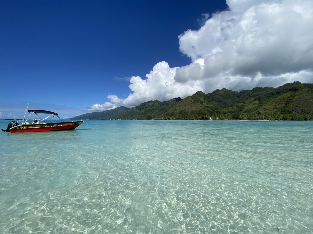 Koa Boat Tour-Tiahura必去景点