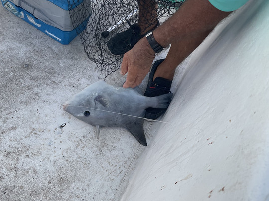 Lil B Fishing-弗里波特必去景点