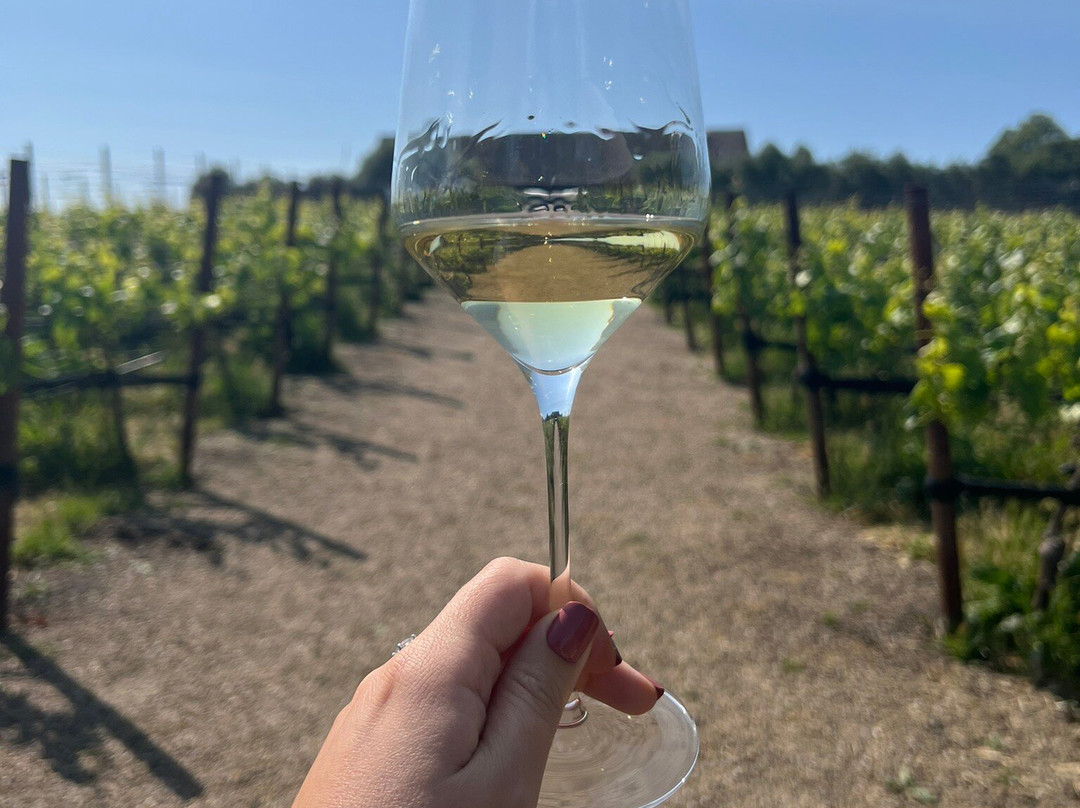 Ram's Gate Winery景点图片