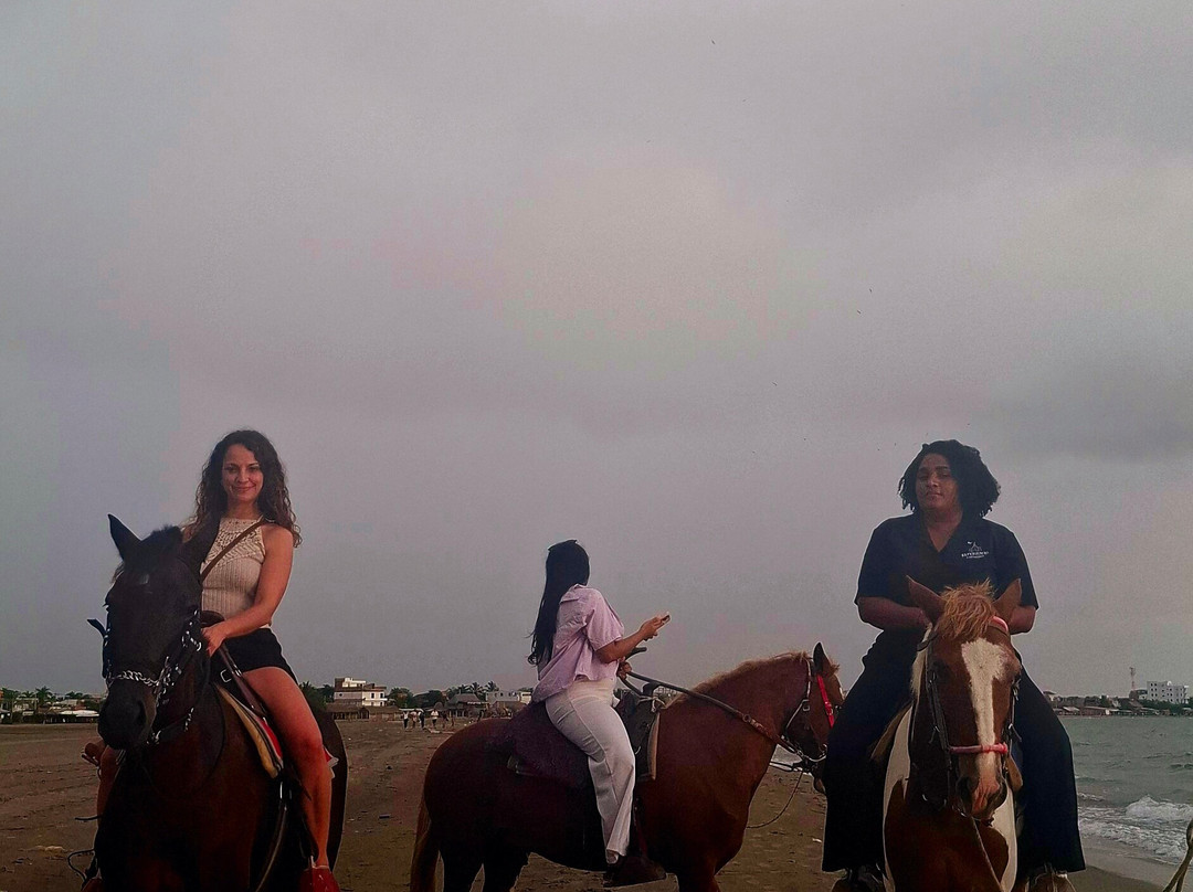 EXPERIENCES CARTAGENA