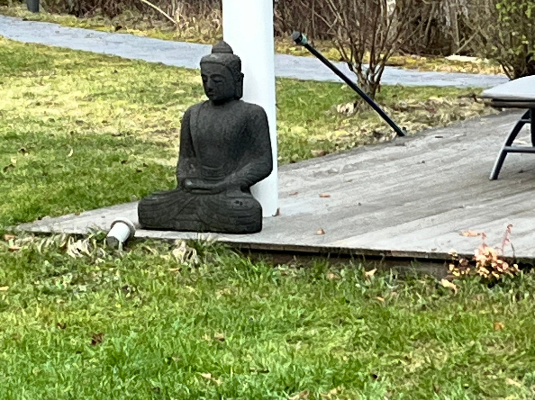 Hotel Molitors Muhle主图