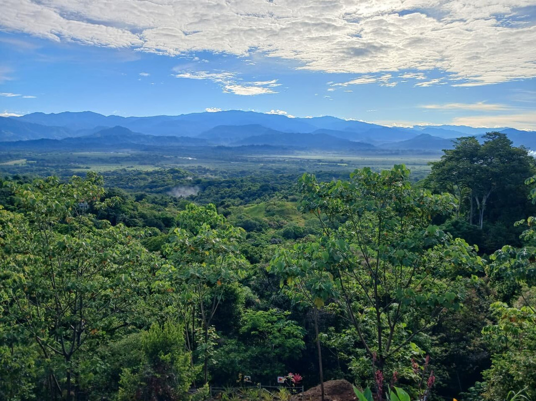 Mountain Top Park景点图片