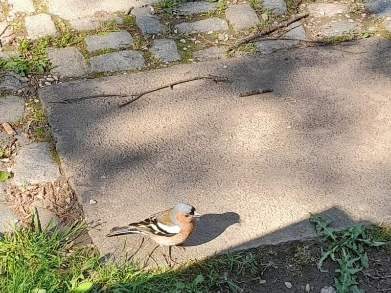 Maribor City Park-马里博尔必去景点