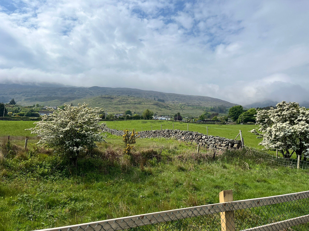 Carlingford Greenway Bike Hire-Carlingford必去景点