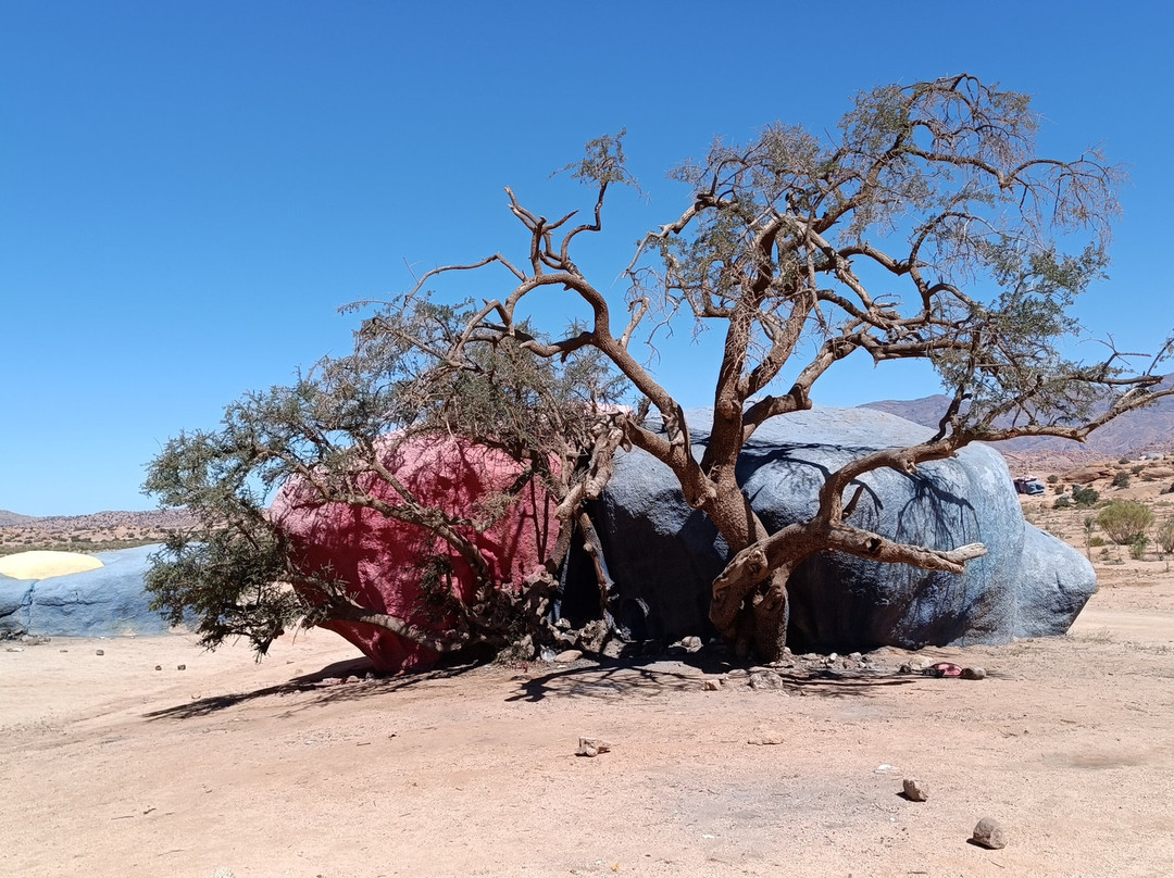 Merzouga Morocco Tours景点图片