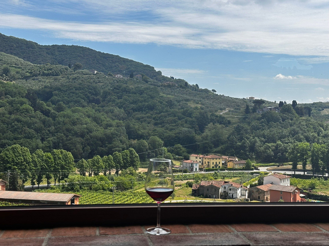 Tenuta Adamo Winery-卢卡必去景点