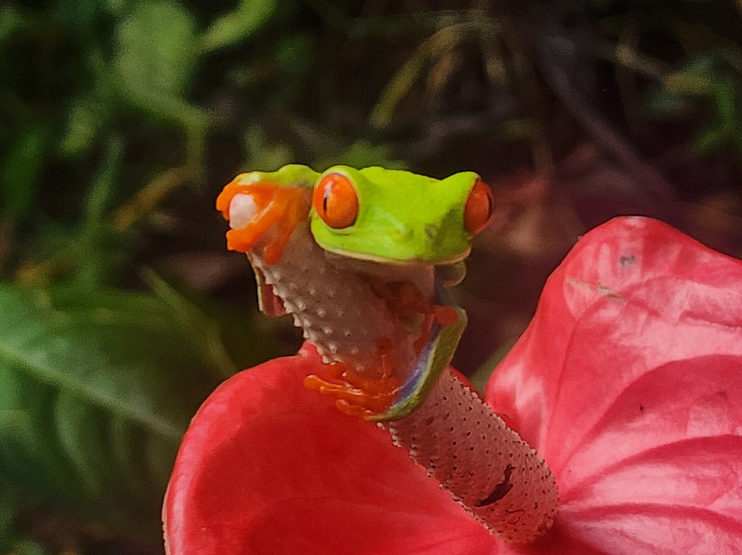 Prime Tours Costa Rica-利比里亚必去景点