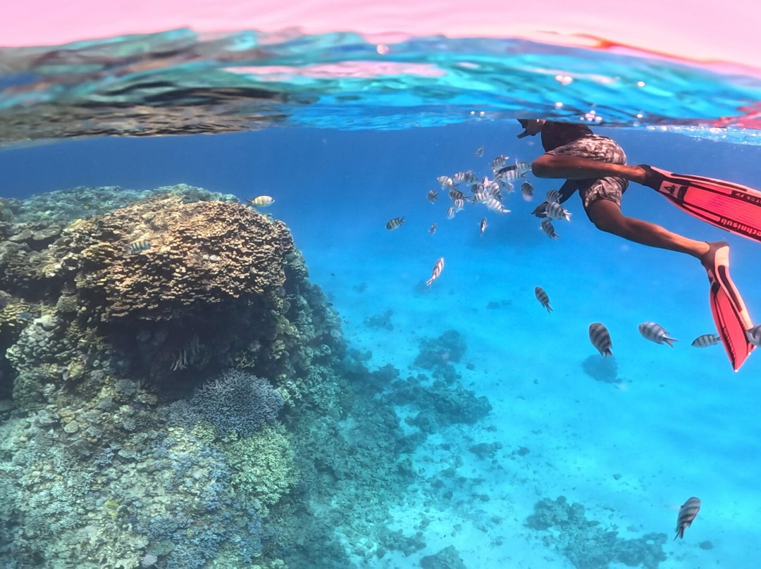 Egyptboats & Privatehurghada.com-赫尔格达必去景点