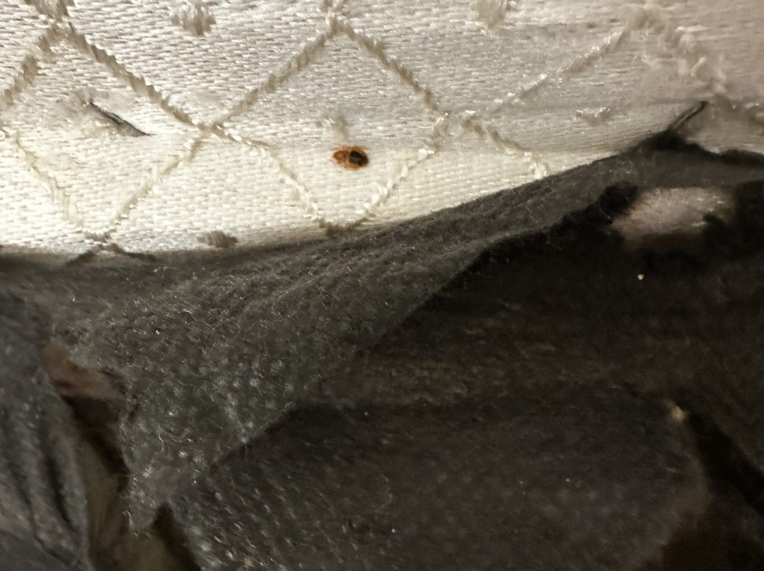 Super 8 by Wyndham Fairmont主图