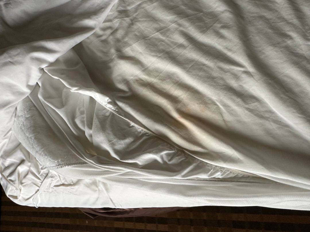 欧克莱尔骑士旅馆主图