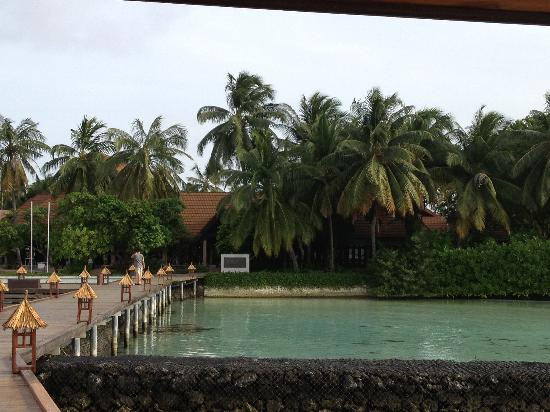 椰子岛库鲁巴度假村主图