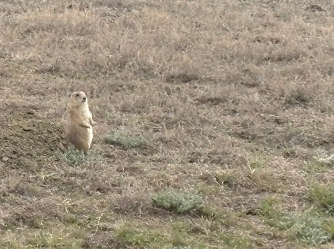 The Convent Country Inn主图