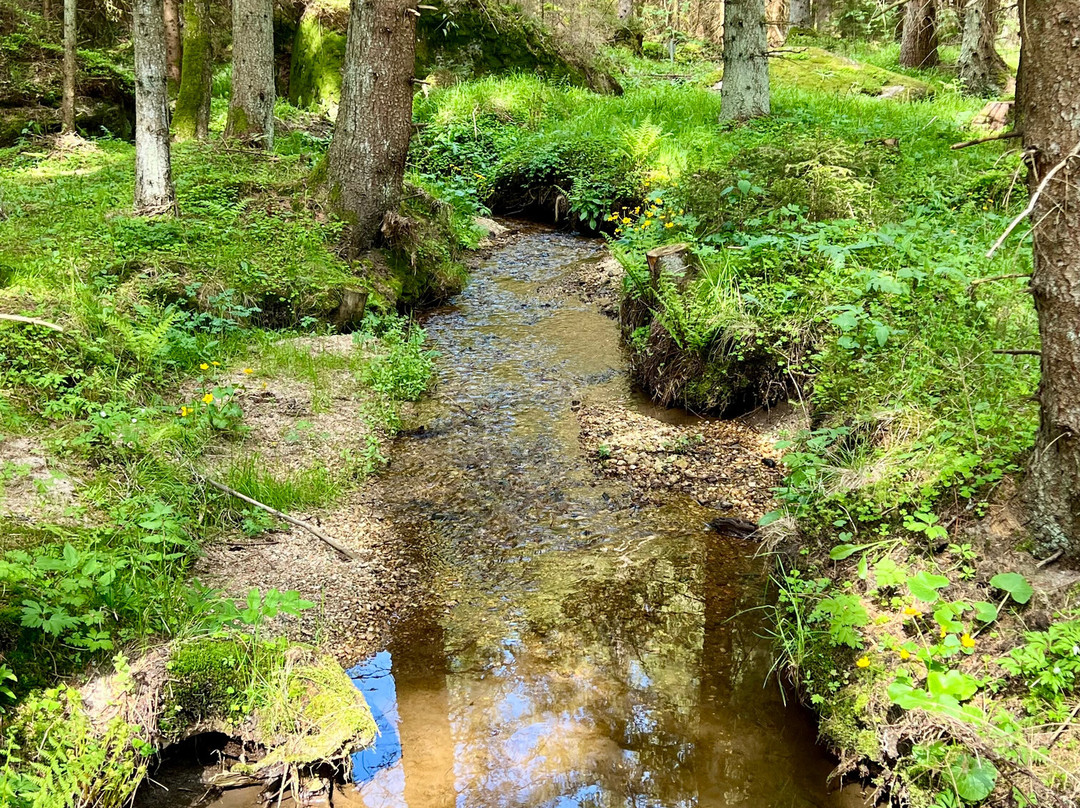 Gesundheitshotel Klosterberg主图