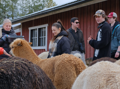 Guidance Dmc-赫尔辛基必去景点