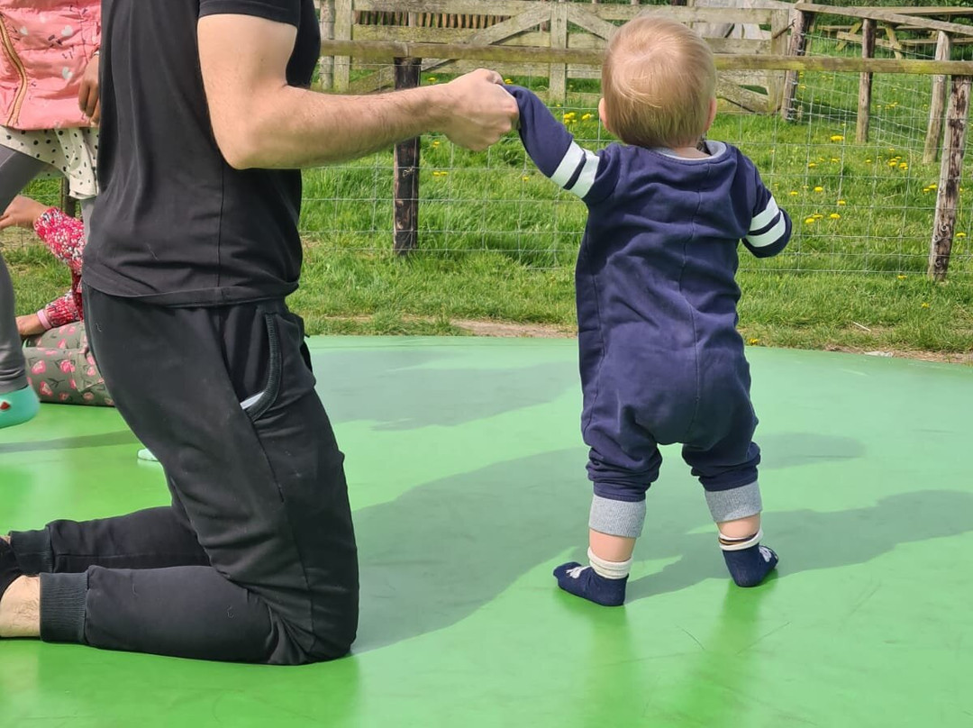 Schapenboerderij Texel-特塞尔必去景点