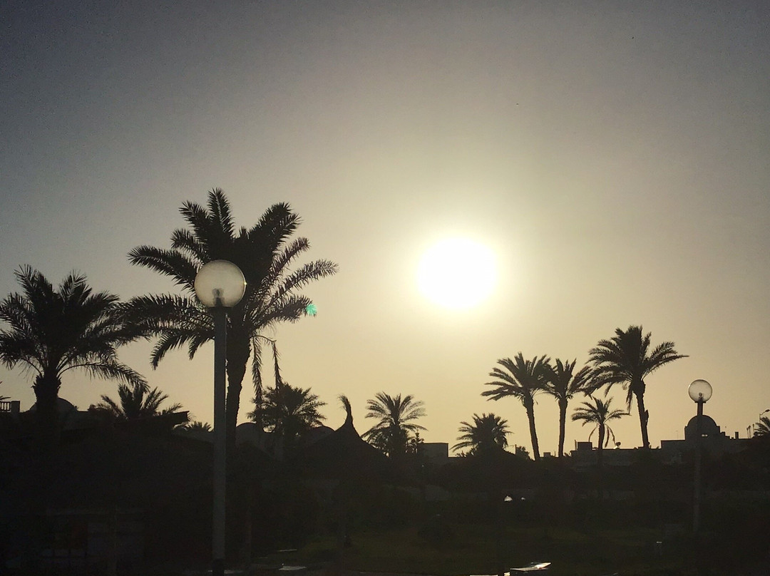 Hotel Al Jazira主图