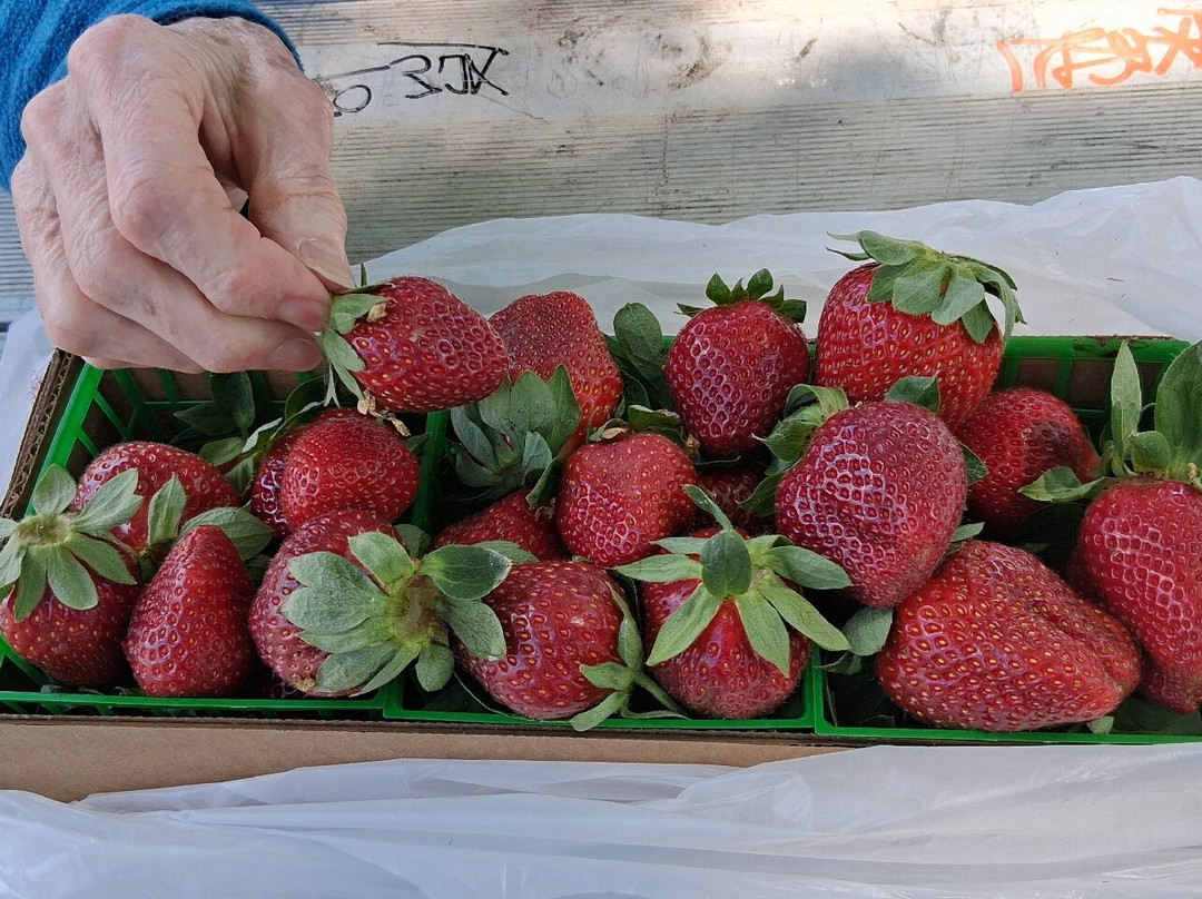 Holiday Inn Express & Suites Ridgecrest - China Lake By IHG主图