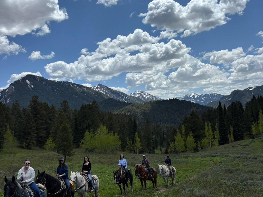 Willow Creek Horseback Rides-杰克逊必去景点