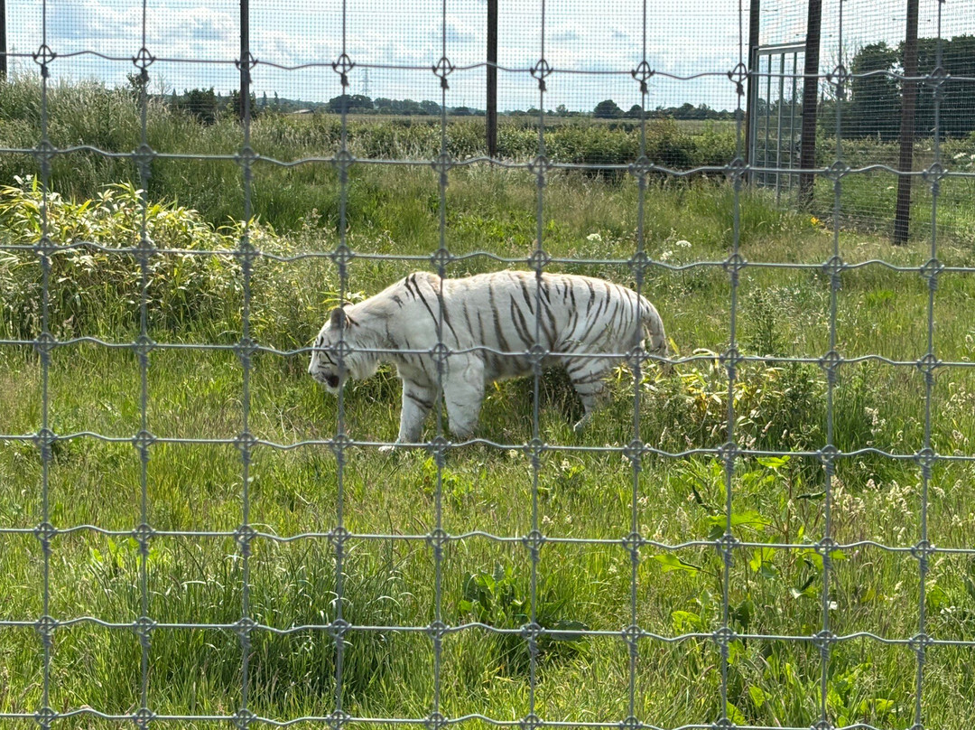 Hamerton Zoo Park景点图片