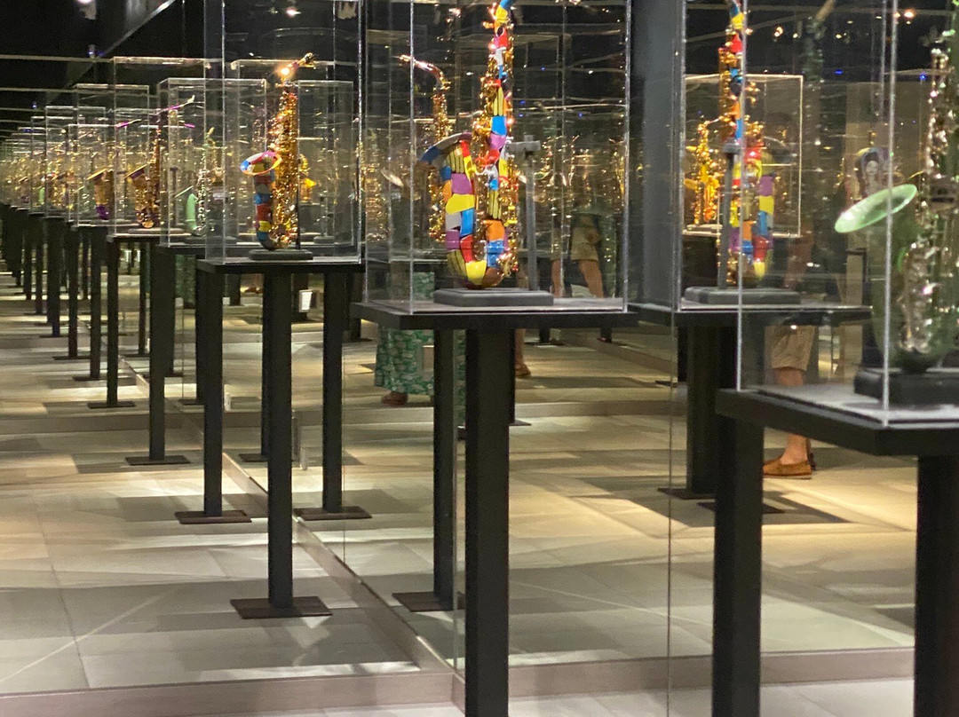Museo Cromática景点图片