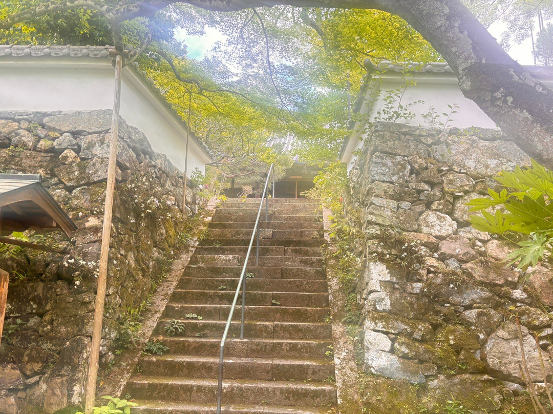 Jinzoji Temple-龟冈市必去景点