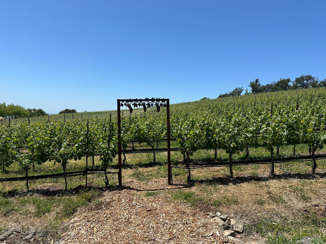 Coursey Graves Estate Winery景点图片