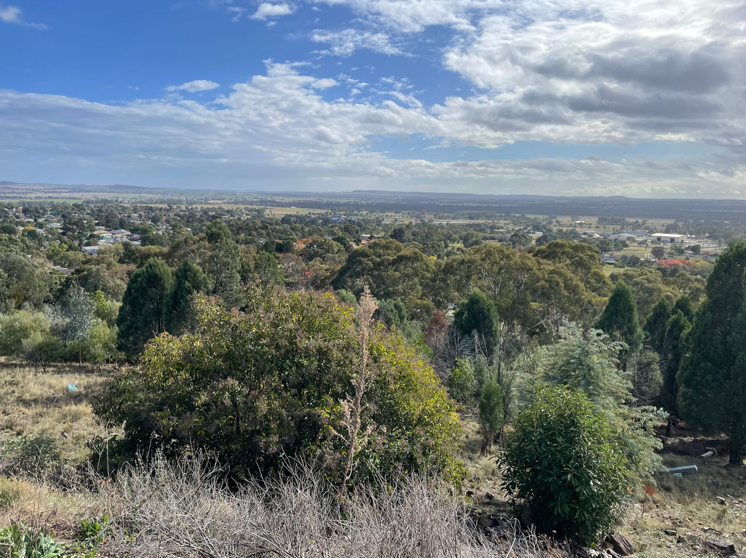 Flirtation Hill Lookout-Gulgong必去景点