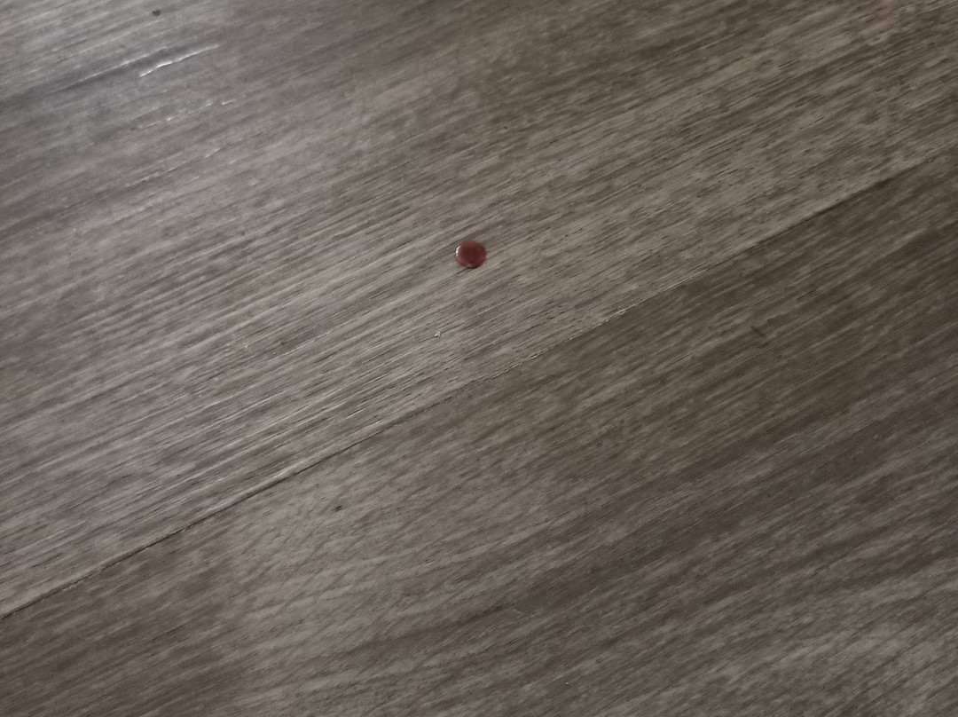 Magnuson Grand Hotel and Conference Center - Tyler主图