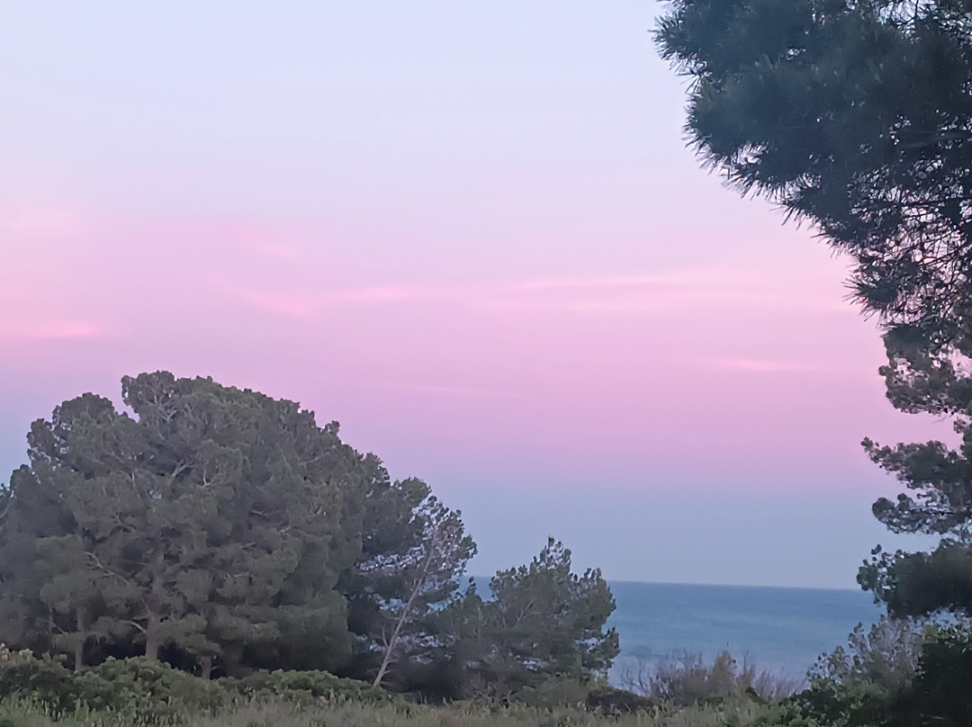 Leucate Falaises-Leucate必去景点