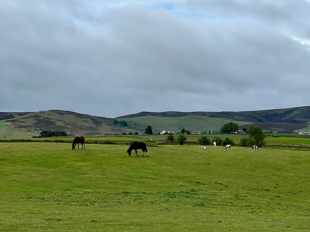 Discover East Lothian-Tranent必去景点