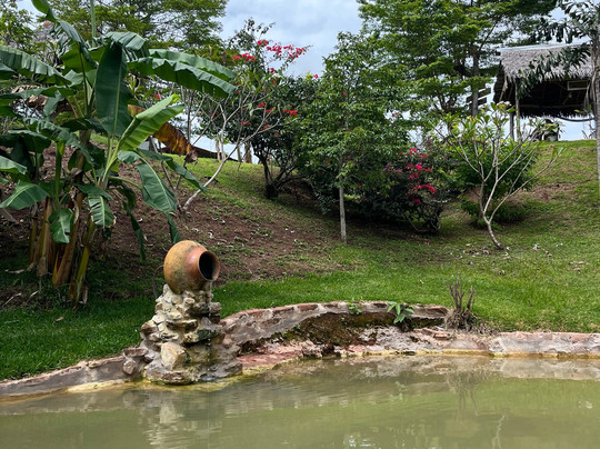 Finca Ecológica Alegria