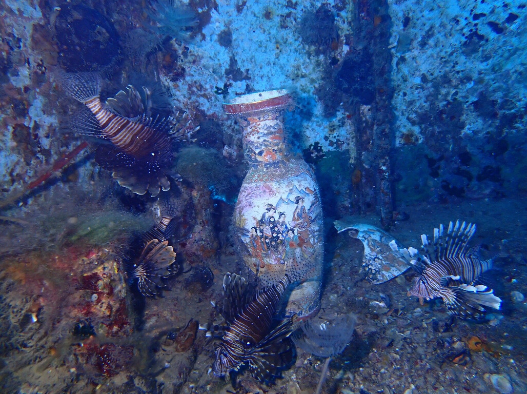 Just Scuba Diving Centre-阿依纳帕必去景点