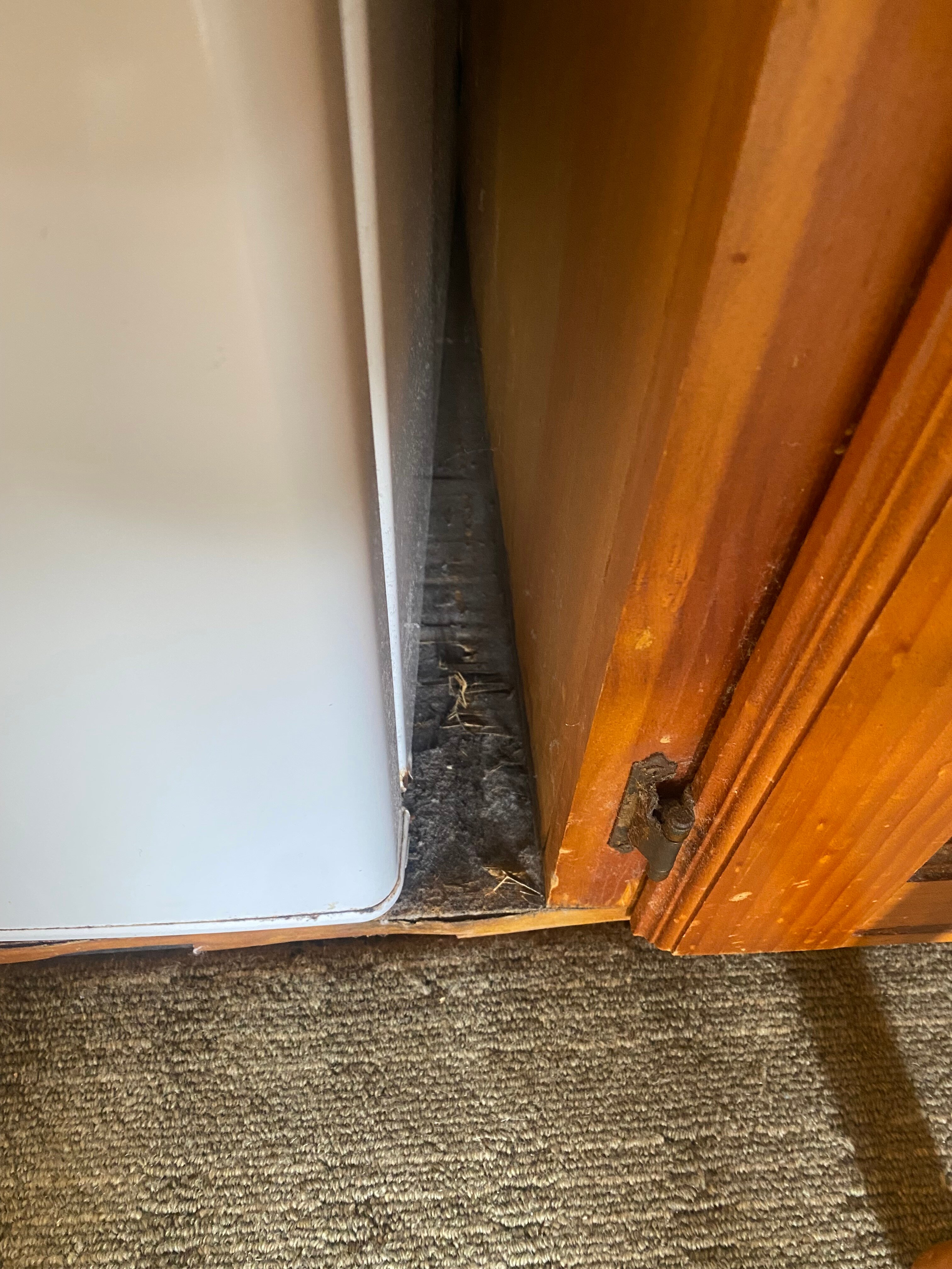 3 Explorers Motel-官方