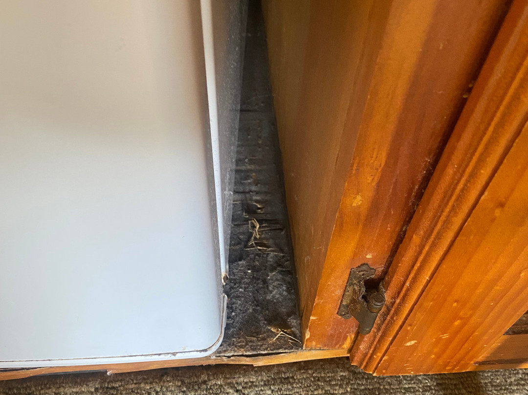 3 Explorers Motel主图