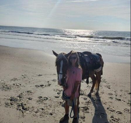 Happy Trails Walking Horses-费尔南迪纳岛必去景点