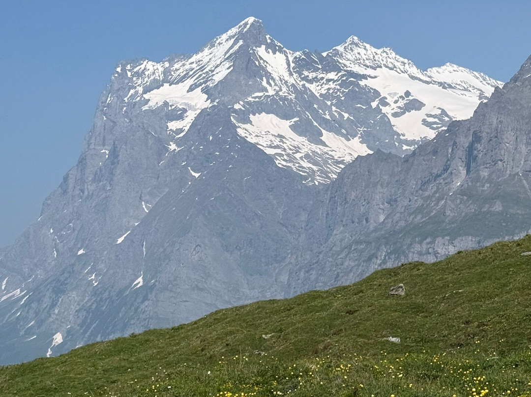 Grindelwald Walking Tours-格林德瓦必去景点