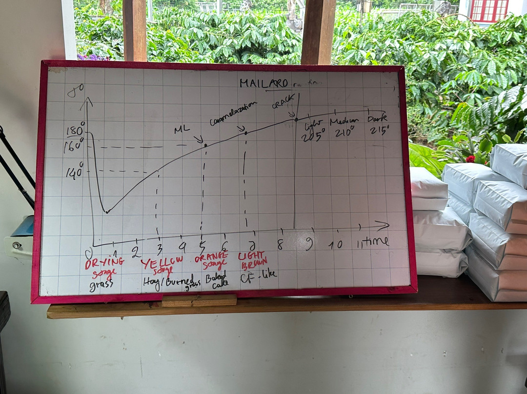ELON  FARMSTAY-大勒必去景点