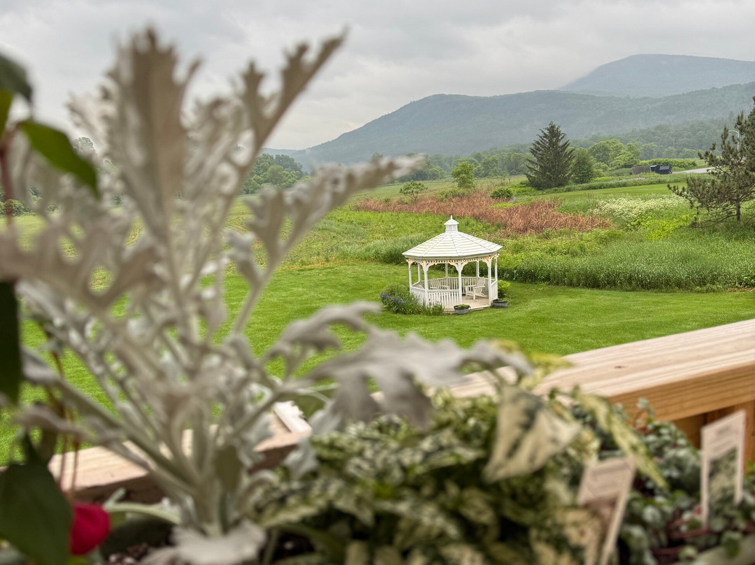 The Mad River Inn主图