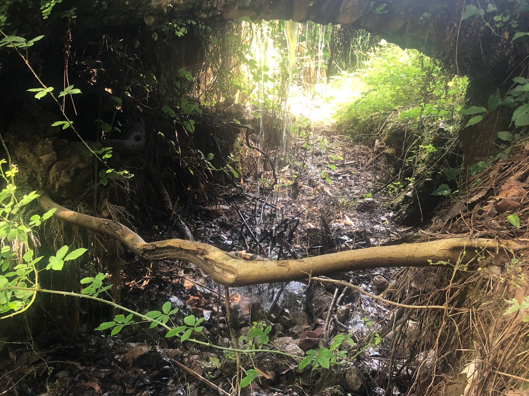 Parc Natural del Desert de les Palmes-贝尼卡西姆必去景点