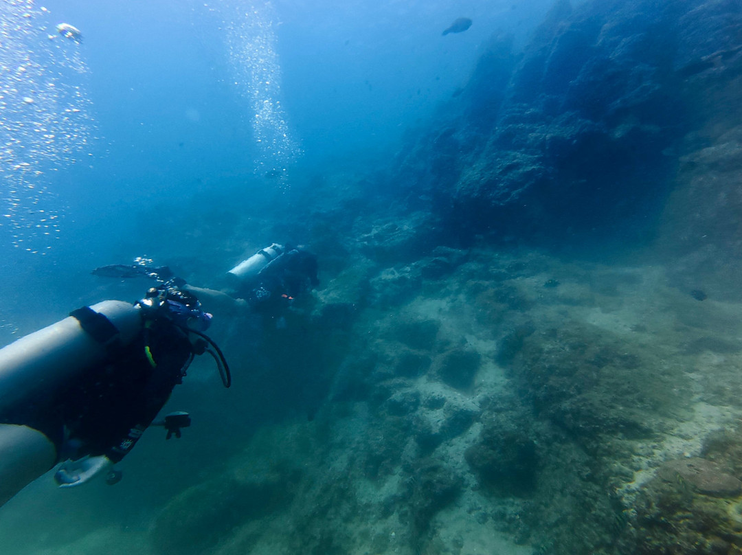 Nemo Diving Center - Fujairah-Dibba Al Fujairah必去景点