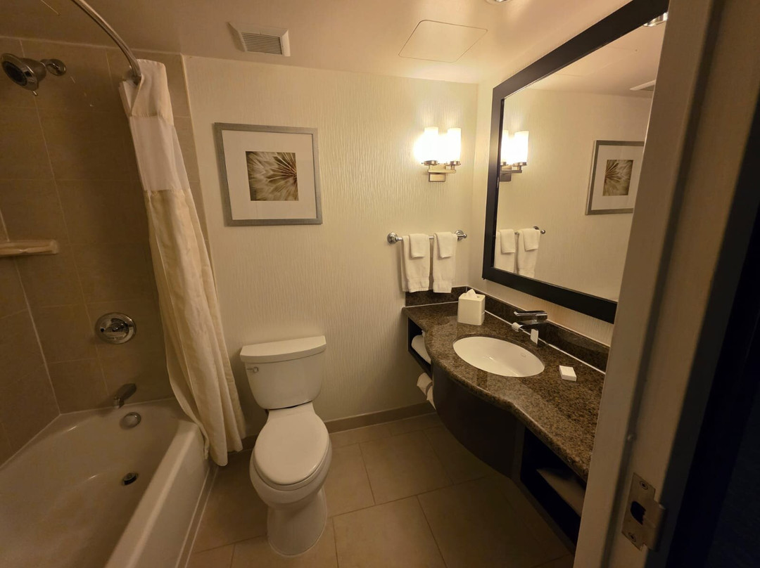 多伦多机场西/米西索加希尔顿花园酒店主图