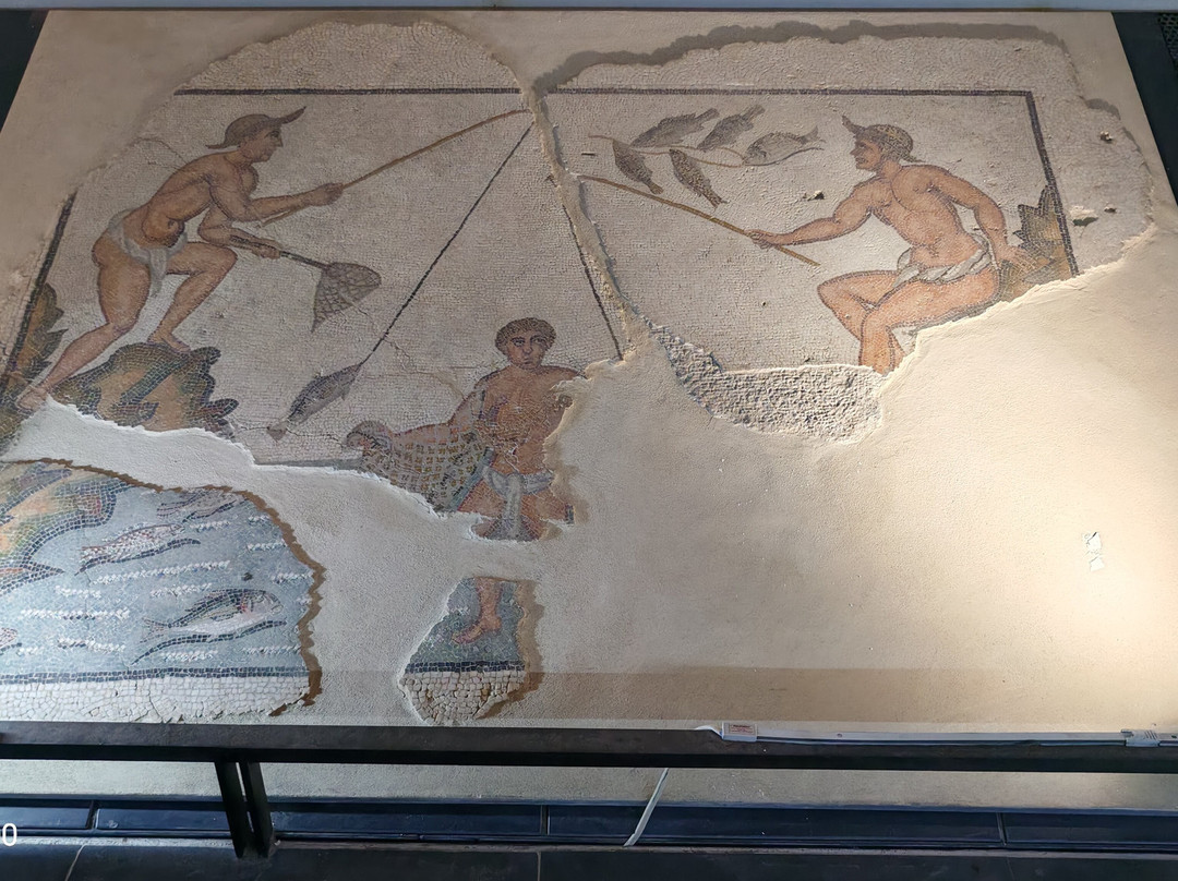 Civico Museo Archeologico e della Città di Savona-萨沃纳必去景点